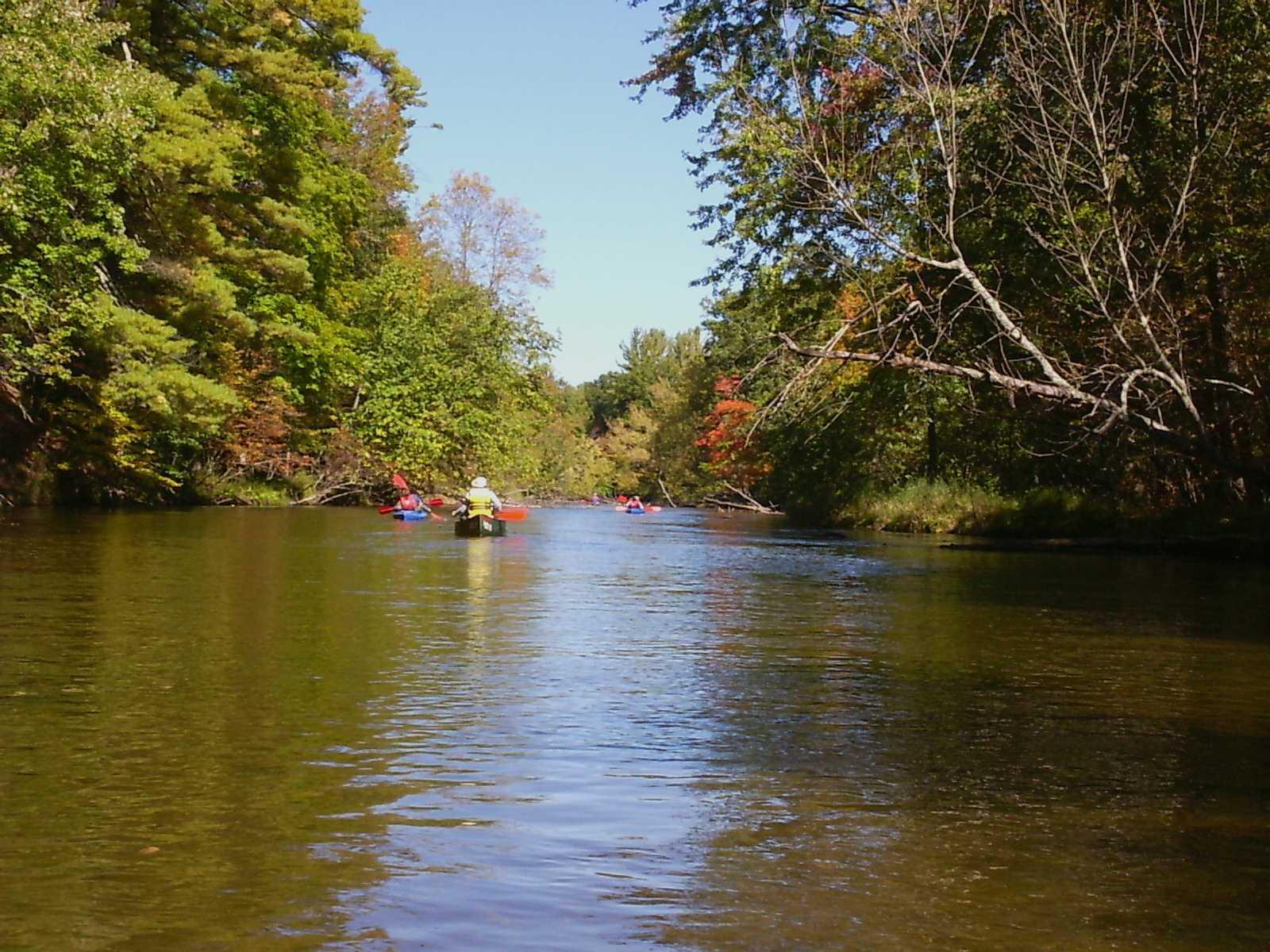 Two kayaks in a river with tree cover.