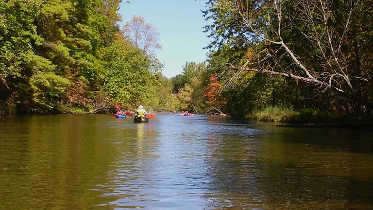 Two kayaks in a river with tree cover.