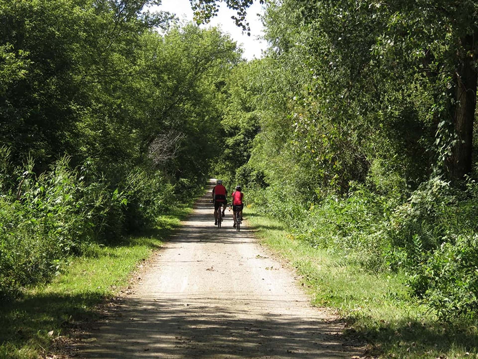 A flat trail with two walkers and trees on either side.