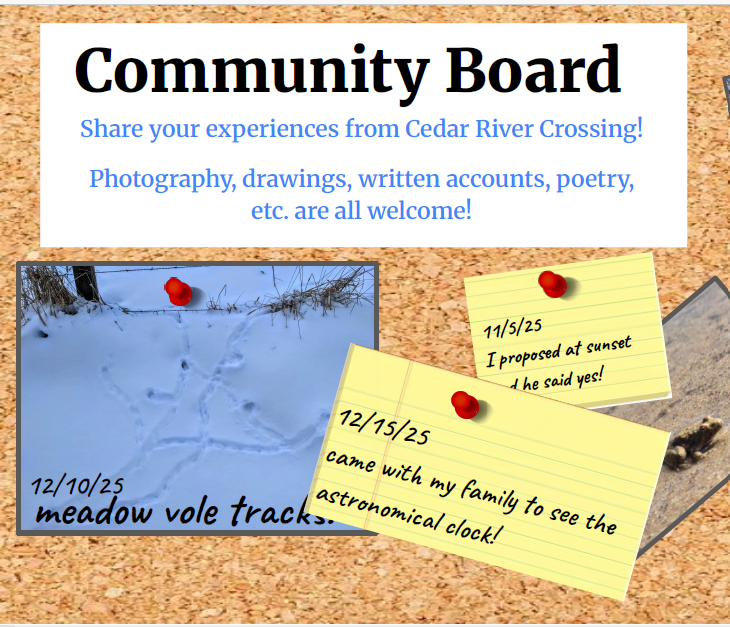 A bulletin board labeled Community Board includes photos of animal tracks and post-it notes with visitors' comments about their visit