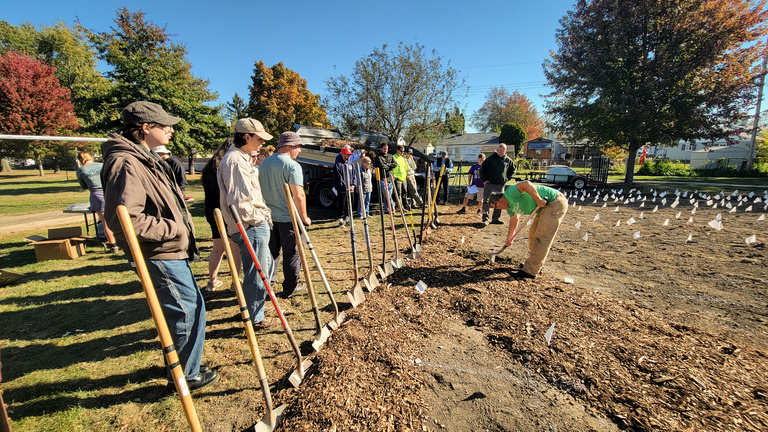 line of people and shovels