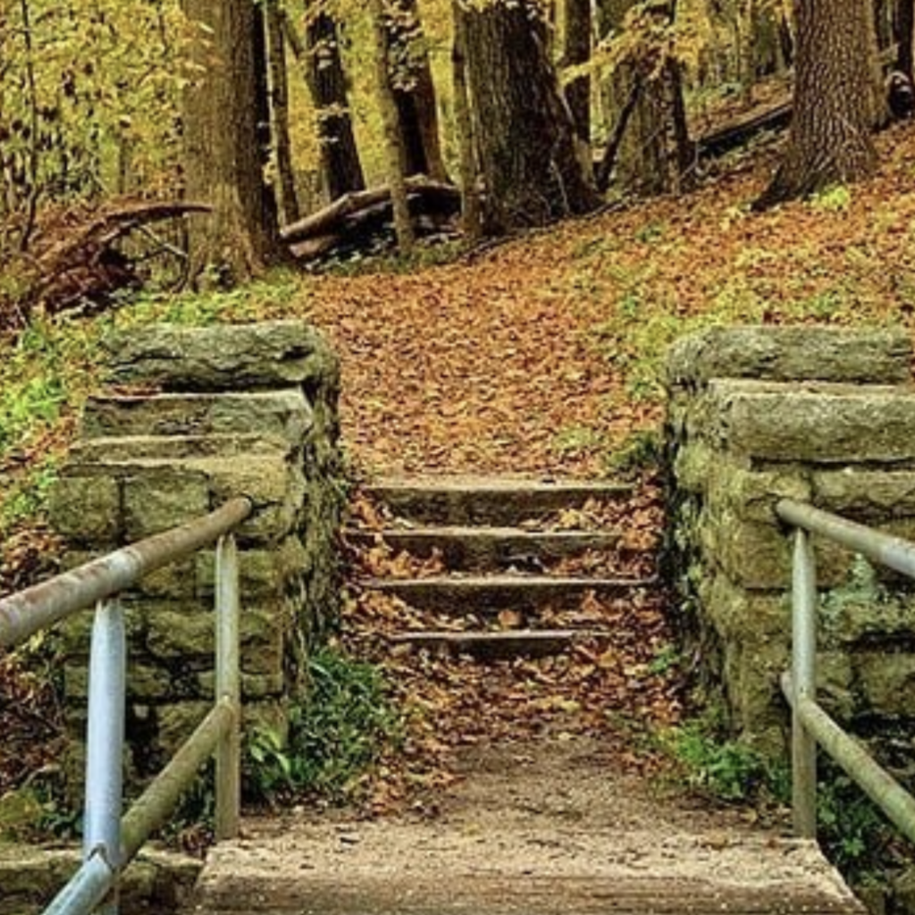 stairs in a state park during the height of fall colorful leaves