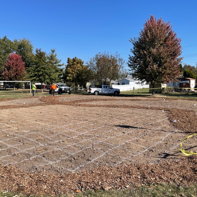 grid on bare dirt