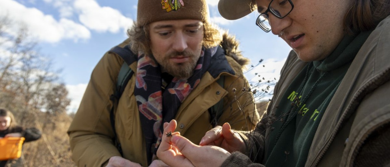 Students look for seeds.