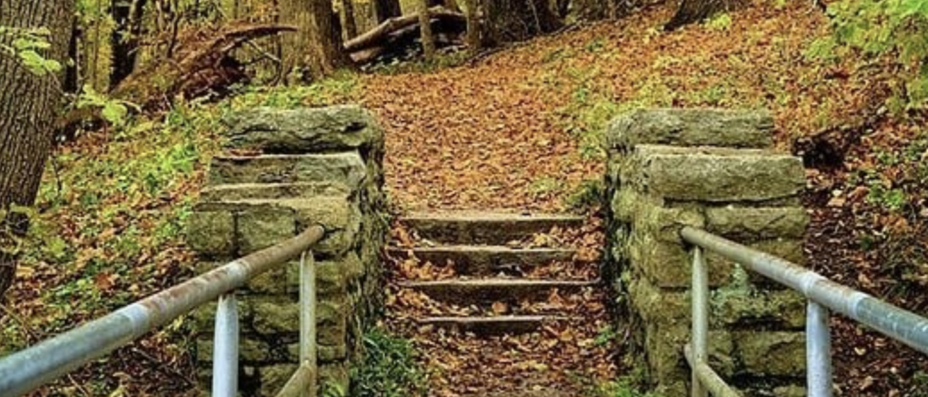 stairs in a state park during the height of fall colorful leaves