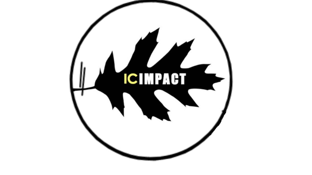 ic_impact.jpg ic_impact.jpg