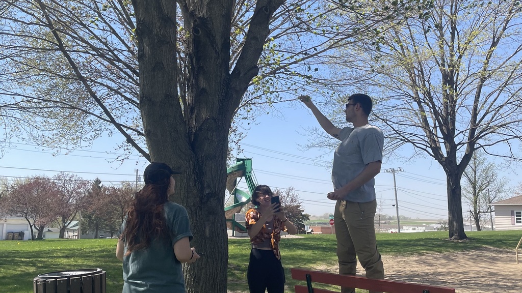 Tree Inventory Tree Inventory