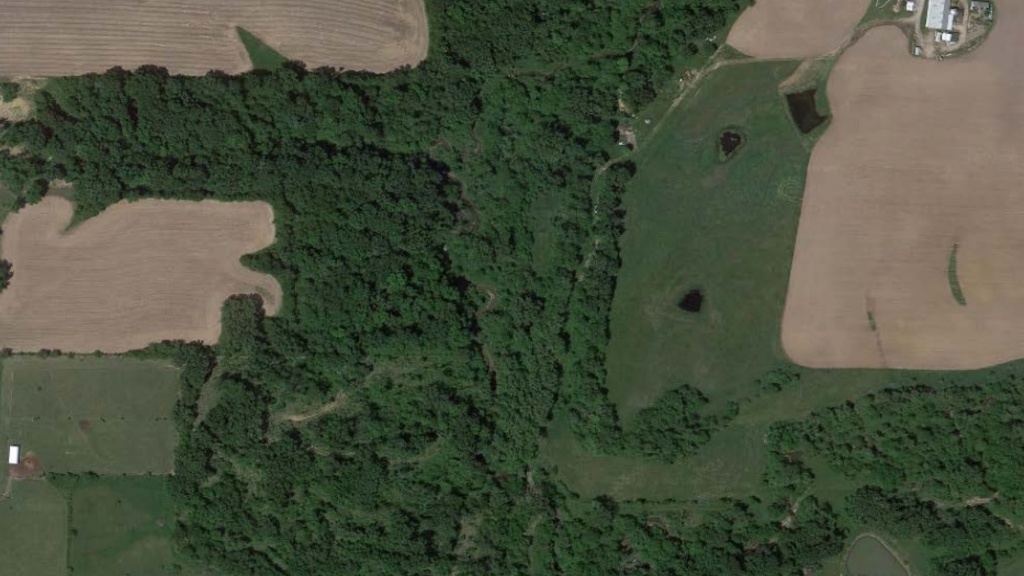 muscatine_wetland.jpg