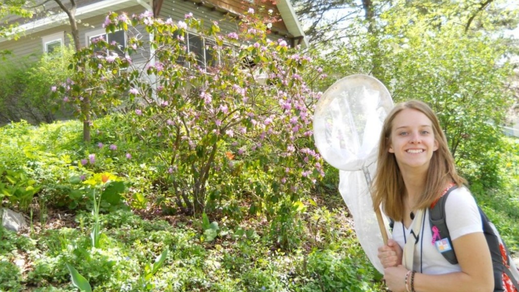 urban_pollinator.jpg urban_pollinator.jpg