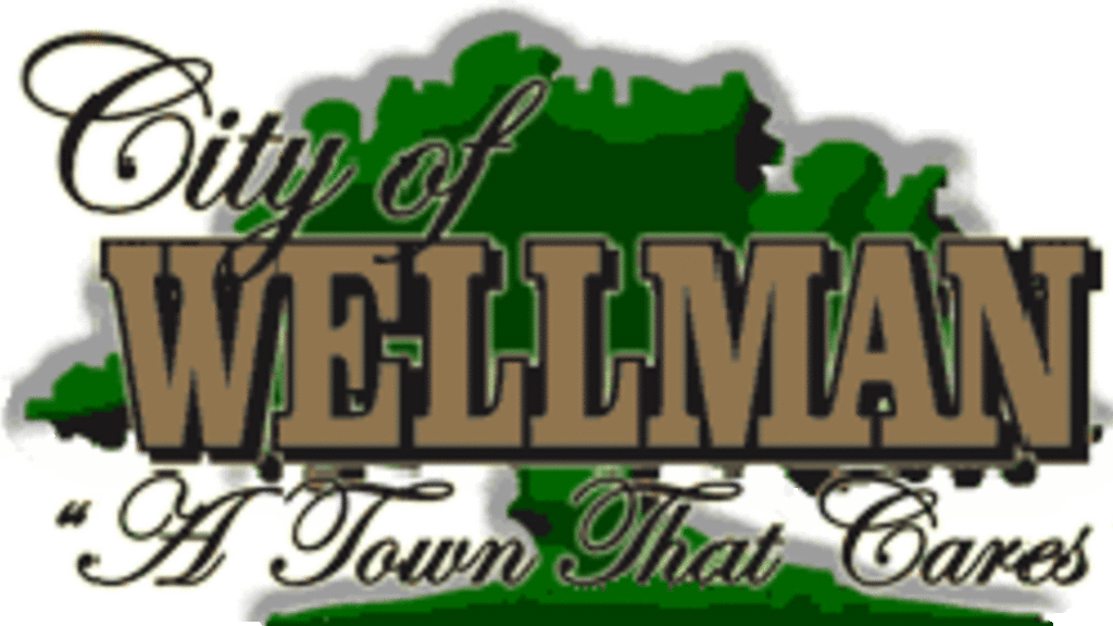 Wellman Logo Wellman Logo