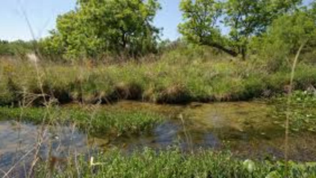 A narrow stream surrounded by grassy green banks and some trees in the distance.
