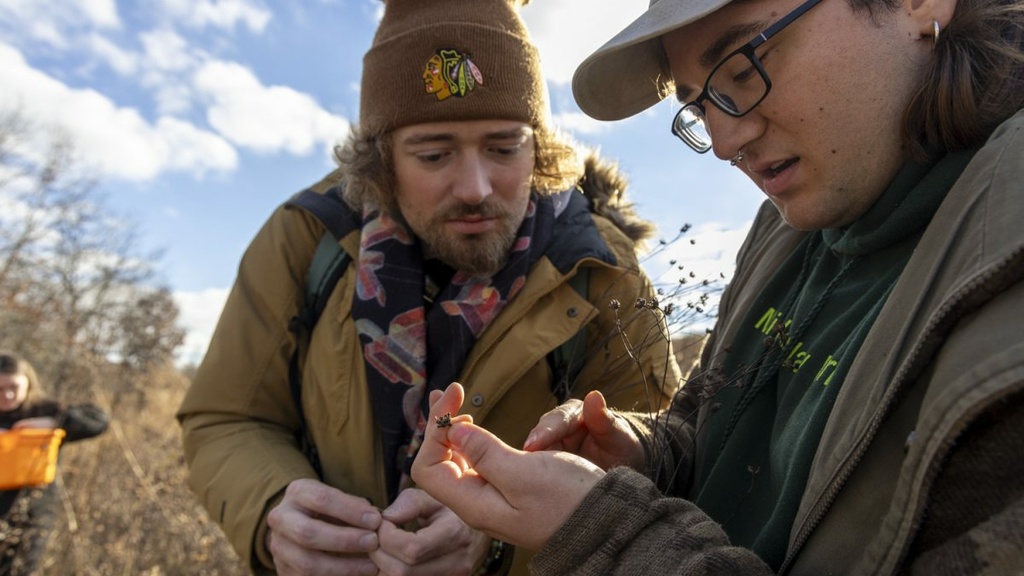 Students look for seeds.
