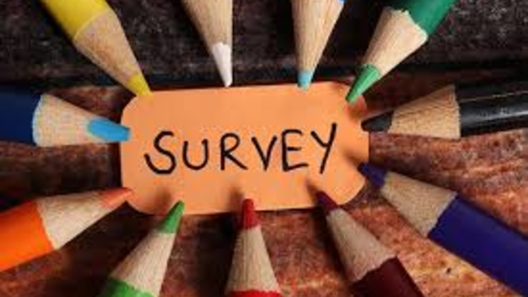 colorful pencils surrounding the word survey