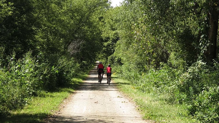 A flat trail with two walkers and trees on either side.