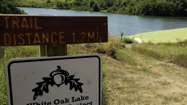 A sign with a lake in the. background during summer.